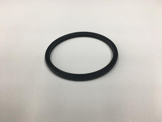 6040628C1, Navistar International, SEAL, THERMOSTAT O-RING - 6040628C1