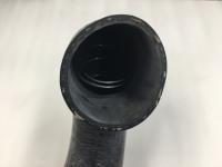 3841938C2, Navistar International, HOSE, RAD INLET - 3841938C2