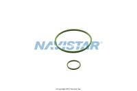 1698250C1, Navistar International, GASKET AND O-RING KIT, FUEL FILTER - 1698250C1